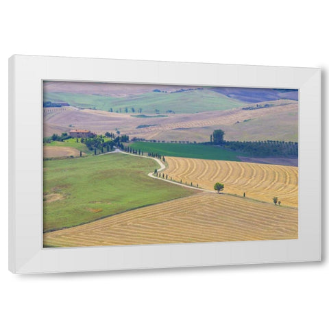 Italy, Tuscany, Pienza Tuscan landscape White Modern Wood Framed Art Print by Delisle, Gilles