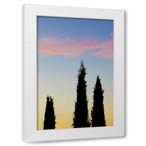Italy, Orvieto Cypress trees and cloud at sunset White Modern Wood Framed Art Print by Delisle, Gilles
