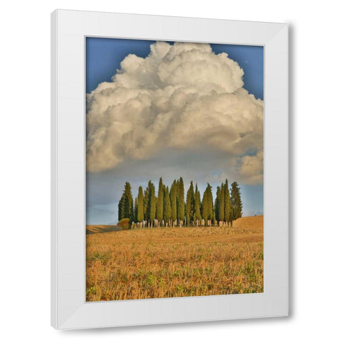 Italy, Tuscany Cypress grove and cloud formation White Modern Wood Framed Art Print by Delisle, Gilles