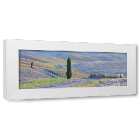 Italy, Tuscany Hay bales and farmland White Modern Wood Framed Art Print by Delisle, Gilles