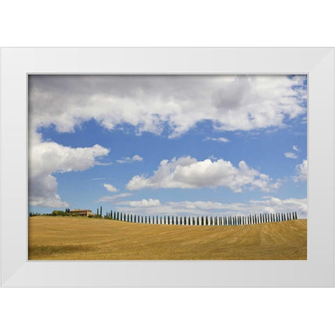 Italy, Tuscany Cypress tree alley and farm house White Modern Wood Framed Art Print by Delisle, Gilles