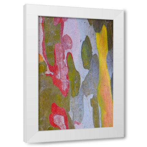 Italy, Tuscany Cypress tree bark patterns White Modern Wood Framed Art Print by Delisle, Gilles