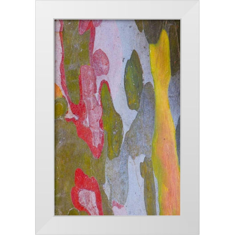 Italy, Tuscany Cypress tree bark patterns White Modern Wood Framed Art Print by Delisle, Gilles