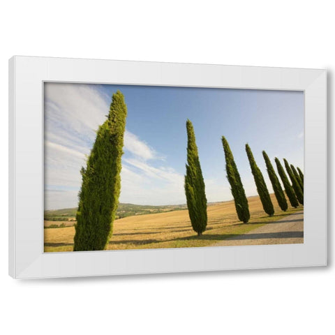 Italy, Tuscany Road and cypress trees White Modern Wood Framed Art Print by Delisle, Gilles