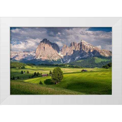 Europe-Italy-South Tirol-Alpine meadows with the Sasso Lungo and Sasso Piatto Mountains White Modern Wood Framed Art Print by Jaynes Gallery