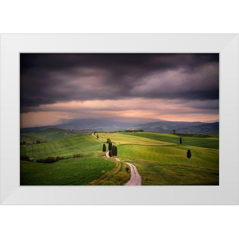 Europe-Italy-Tuscany-Val dOrcia-Road through farming landscape White Modern Wood Framed Art Print by Jaynes Gallery