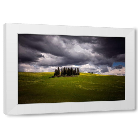Europe-Italy-Tuscany-Val d Orcia-Cypress grove and farmland White Modern Wood Framed Art Print by Jaynes Gallery