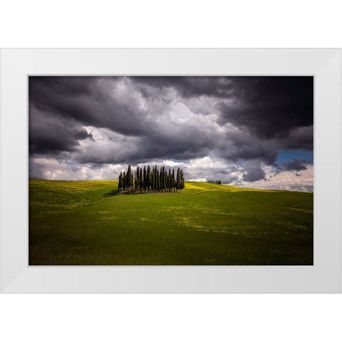 Europe-Italy-Tuscany-Val d Orcia-Cypress grove and farmland White Modern Wood Framed Art Print by Jaynes Gallery