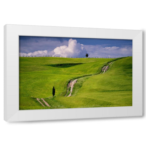Europe-Italy-Tuscany-Val d Orcia-Cypress tree and winding road in farmland hills White Modern Wood Framed Art Print by Jaynes Gallery