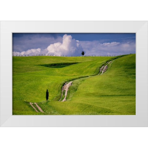 Europe-Italy-Tuscany-Val d Orcia-Cypress tree and winding road in farmland hills White Modern Wood Framed Art Print by Jaynes Gallery