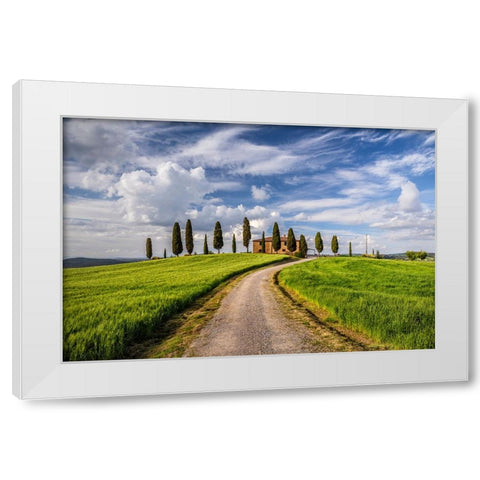 Europe-Italy-Tuscany-Val d Orcia-Road to Il Cipressini farmhouse White Modern Wood Framed Art Print by Jaynes Gallery