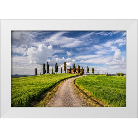 Europe-Italy-Tuscany-Val d Orcia-Road to Il Cipressini farmhouse White Modern Wood Framed Art Print by Jaynes Gallery