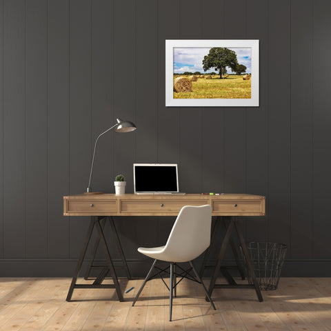 Italy-Apulia-Metropolitan City of Bari-Gioia del Colle Bales of hay in a field White Modern Wood Framed Art Print by Wilson, Emily