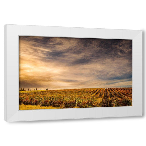 Italy-vineyard White Modern Wood Framed Art Print by Theodore, George and Marilu