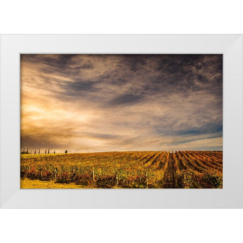 Italy-vineyard White Modern Wood Framed Art Print by Theodore, George and Marilu