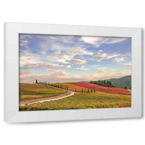 Italy-Tuscany-vineyard White Modern Wood Framed Art Print by Theodore, George and Marilu