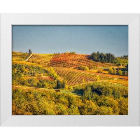 Italy-Chianti Vineyard in autumn in the Chianti region of Tuscany White Modern Wood Framed Art Print by Eggers, Julie