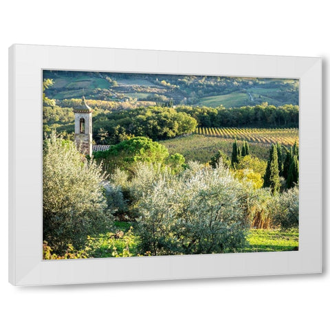 Italy-Chianti Pieve di Santa Maria Novella near Radda in Chianti White Modern Wood Framed Art Print by Eggers, Julie