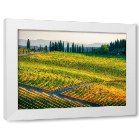 Italy-Chianti Vineyard in autumn in the Chianti region of Tuscany White Modern Wood Framed Art Print by Eggers, Julie
