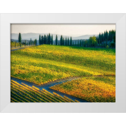 Italy-Chianti Vineyard in autumn in the Chianti region of Tuscany White Modern Wood Framed Art Print by Eggers, Julie
