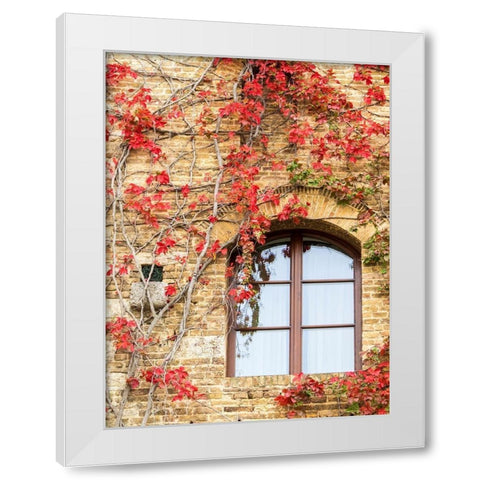 Italy-Chianti Red climbing ivy vine on a stone wall White Modern Wood Framed Art Print by Eggers, Julie