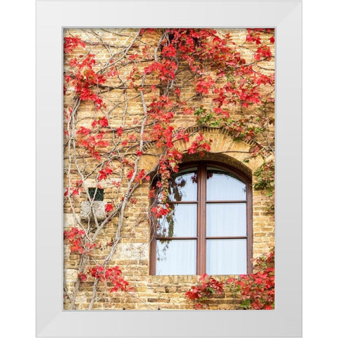 Italy-Chianti Red climbing ivy vine on a stone wall White Modern Wood Framed Art Print by Eggers, Julie