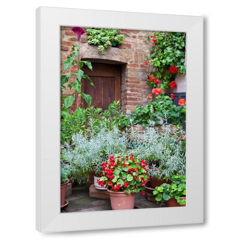Italy-Tuscany-Pienza Potted plants in the corner of a street in the town of Pienza White Modern Wood Framed Art Print by Eggers, Julie
