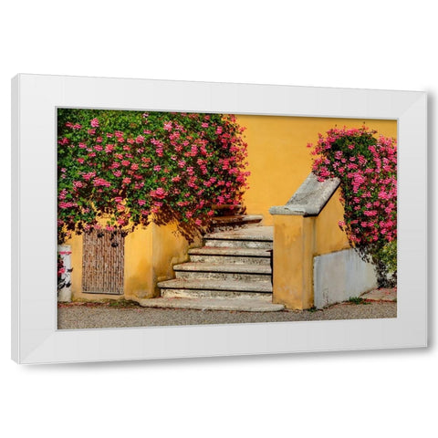 Italy-Tuscany Stairs covered in flowers White Modern Wood Framed Art Print by Eggers, Julie