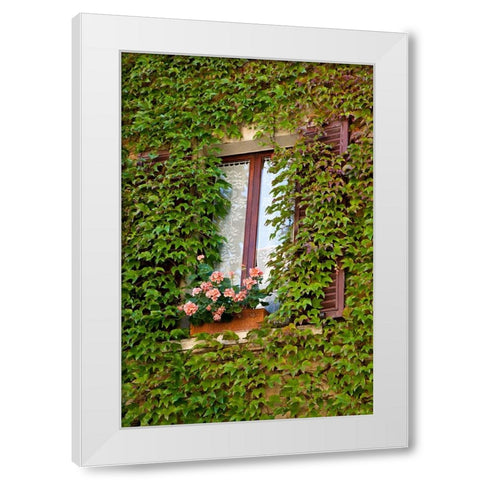 Italy-Tuscany-Montepulciano Window surrounded by ivy with pot of geraniums in hill town White Modern Wood Framed Art Print by Eggers, Julie