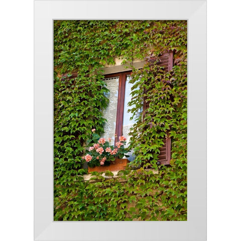 Italy-Tuscany-Montepulciano Window surrounded by ivy with pot of geraniums in hill town White Modern Wood Framed Art Print by Eggers, Julie