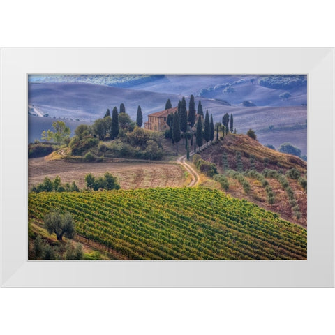 Italy-Tuscany Belvedere House-Olive trees-and vineyards near San Quirico dOrcia White Modern Wood Framed Art Print by Eggers, Julie