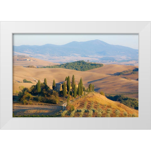 Italy-Tuscany Belvedere House-Olive trees-and vineyards near San Quirico dOrcia White Modern Wood Framed Art Print by Eggers, Julie
