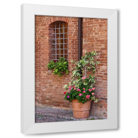 Italy-Tuscany-Crete Senesi-Asciano Street scene with potted flowers White Modern Wood Framed Art Print by Eggers, Julie