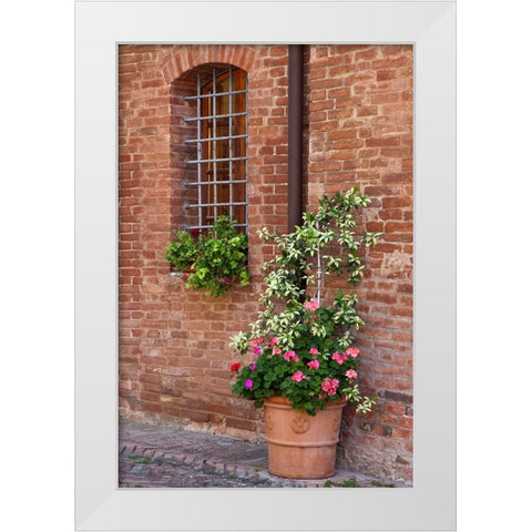 Italy-Tuscany-Crete Senesi-Asciano Street scene with potted flowers White Modern Wood Framed Art Print by Eggers, Julie