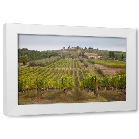 Italy-Tuscany Rows of grape vines in a vineyard in Tuscany White Modern Wood Framed Art Print by Eggers, Julie