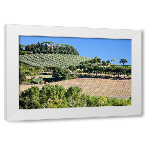 Italy-Tuscany Villa on hillside surrounded with olive trees and vineyard White Modern Wood Framed Art Print by Eggers, Julie