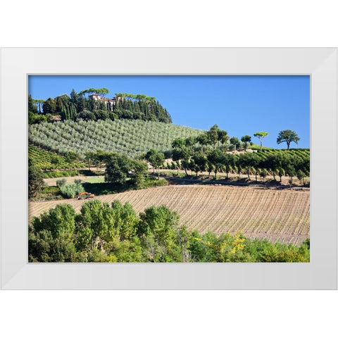 Italy-Tuscany Villa on hillside surrounded with olive trees and vineyard White Modern Wood Framed Art Print by Eggers, Julie