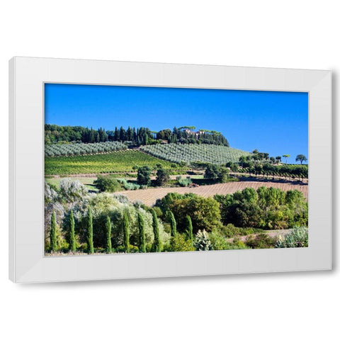 Italy-Tuscany Villa on hillside surrounded with olive trees and vineyard White Modern Wood Framed Art Print by Eggers, Julie