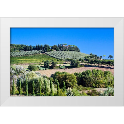Italy-Tuscany Villa on hillside surrounded with olive trees and vineyard White Modern Wood Framed Art Print by Eggers, Julie