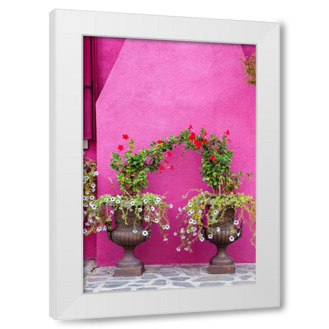 Italy-Venice-Burano Island Urns planted with flowers against a bright pink wall on Burano Island White Modern Wood Framed Art Print by Eggers, Julie
