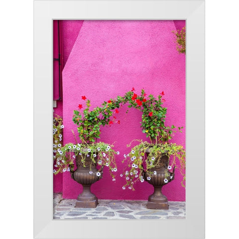 Italy-Venice-Burano Island Urns planted with flowers against a bright pink wall on Burano Island White Modern Wood Framed Art Print by Eggers, Julie