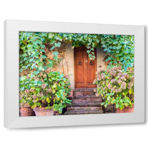 Italy-Tuscany-Pienza Doorway surrounded by flowers White Modern Wood Framed Art Print by Eggers, Julie