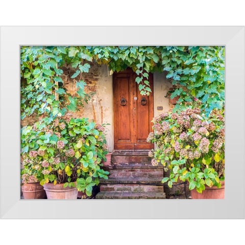 Italy-Tuscany-Pienza Doorway surrounded by flowers White Modern Wood Framed Art Print by Eggers, Julie