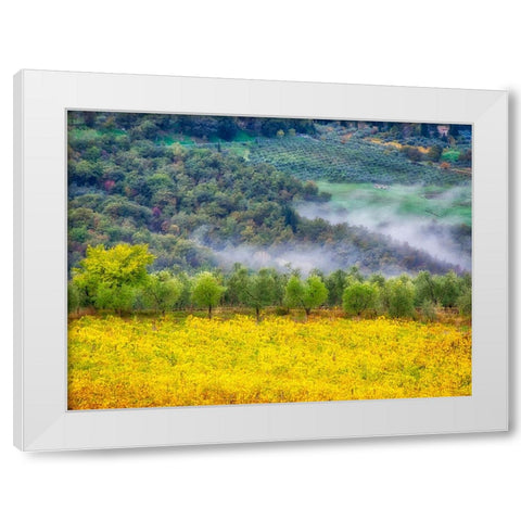 Italy-Tuscany Autumn morning with fog in the Tuscan valley White Modern Wood Framed Art Print by Eggers, Julie