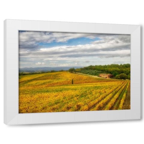 Italy-Tuscany Colorful vineyard in autumn White Modern Wood Framed Art Print by Eggers, Julie