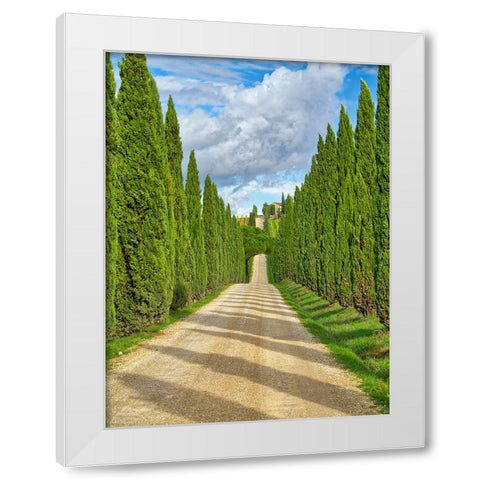 Italy-Tuscany Road lined with Italian cypress leading to a villa White Modern Wood Framed Art Print by Eggers, Julie