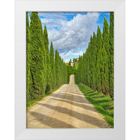 Italy-Tuscany Road lined with Italian cypress leading to a villa White Modern Wood Framed Art Print by Eggers, Julie