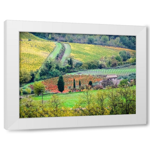 Italy-Tuscany View of the Tuscan countryside White Modern Wood Framed Art Print by Eggers, Julie