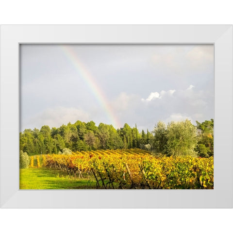 Italy-Tuscany Colorful vineyard and rainbow in autumn White Modern Wood Framed Art Print by Eggers, Julie
