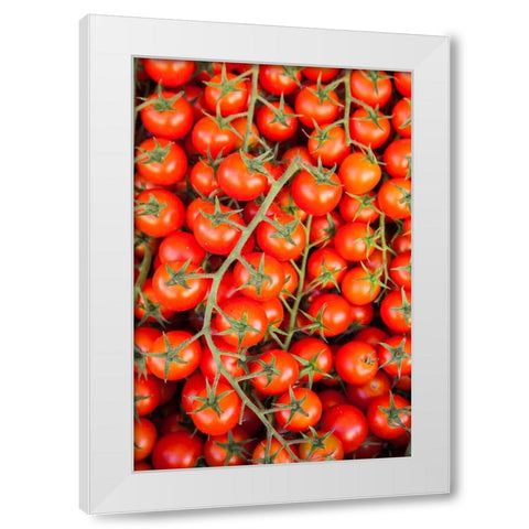 Italy- Umbria- Montefalco. Closeup of tomatoes on the vine. White Modern Wood Framed Art Print by Eggers, Julie